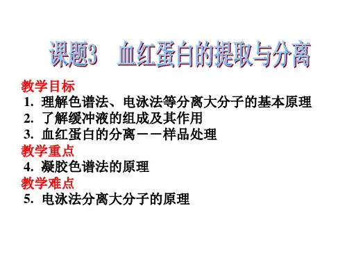 人教版高中生物课件选修一血红蛋白的提取和分离PPT