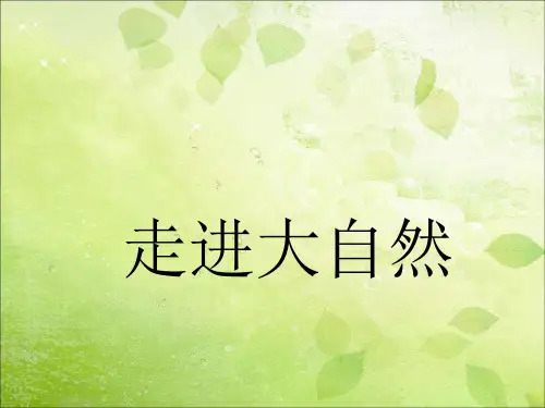 粤教粤科版小学科学 精品课件:1 走进大自然【优质】