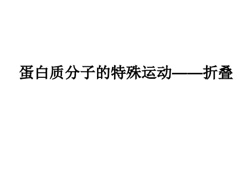 蛋白质分子的特殊运动——折叠概要1