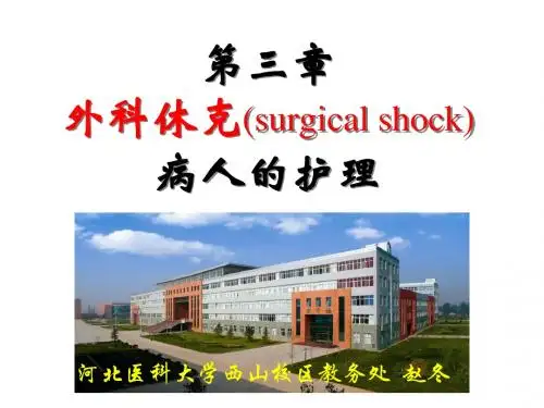 外科休克病人的护理