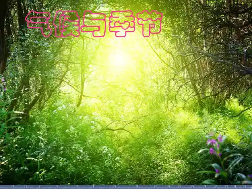 苏教版科学三年级下册5.气候与季节 (3)