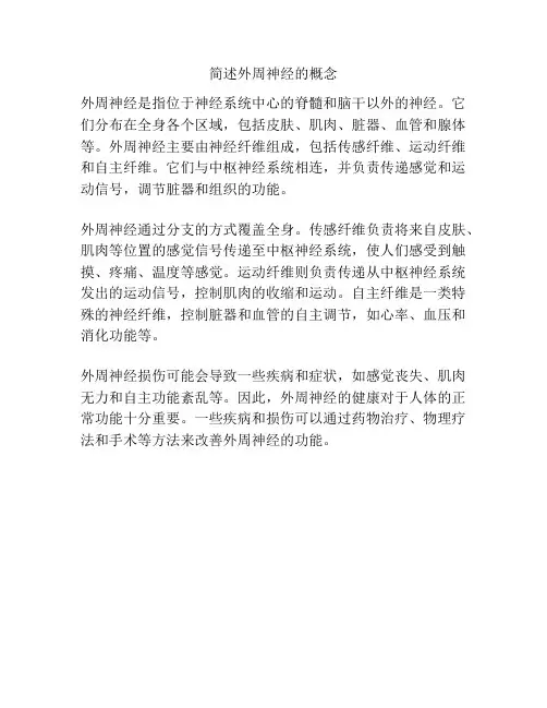 简述外周神经的概念