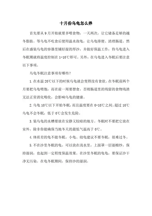 十月份乌龟怎么养
