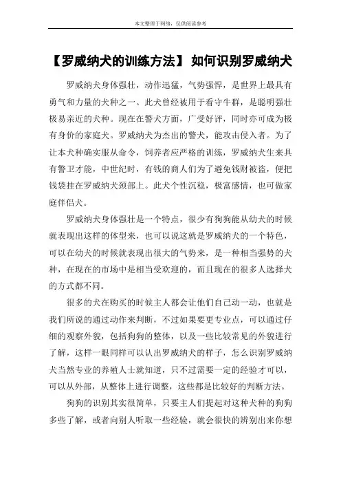【罗威纳犬的训练方法】 如何识别罗威纳犬