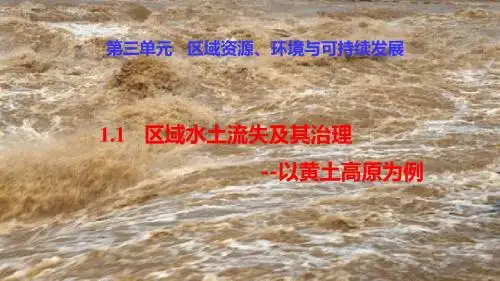 鲁教版必修三3.1水土流失及其危害、成因(共24张PPT)