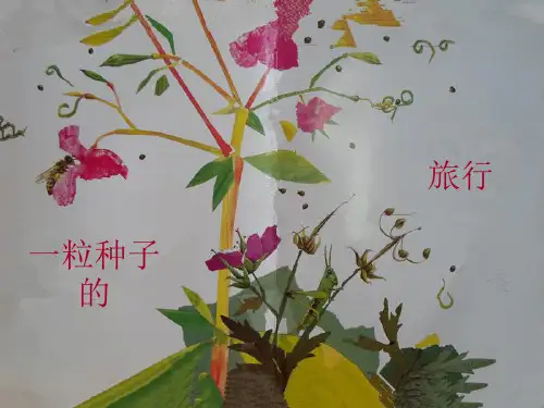 《一粒种子的旅行》PPT课件