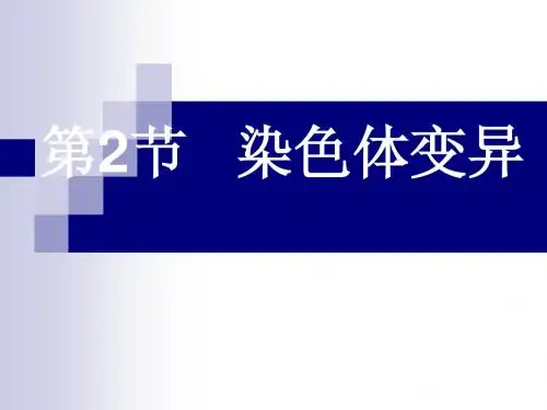 一轮复习必修2:第5章 第2节 染色体变异