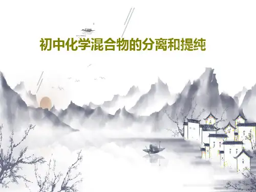 初中化学混合物的分离和提纯29页PPT