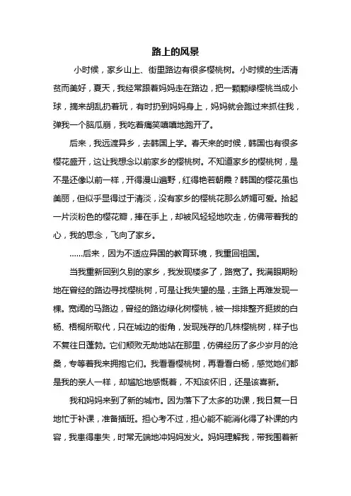 初二作文：路上的风景作文800字