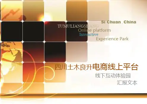 方案汇报文本