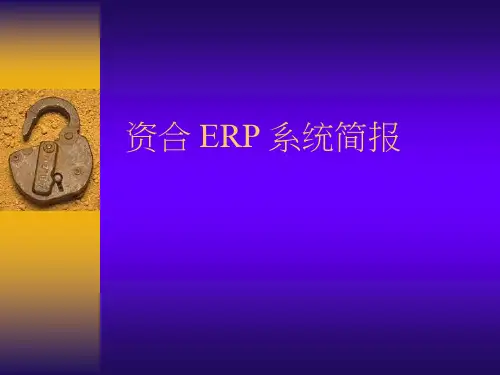 企业资合ERP简报PPT模板