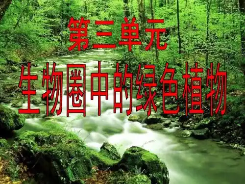 《藻类、苔藓和蕨类植物》课件