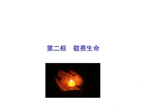 敬畏生命ppt优秀课件8 人教版