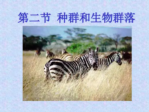 种群和群落ppt2