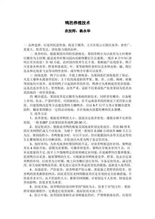 鸭的养殖技术