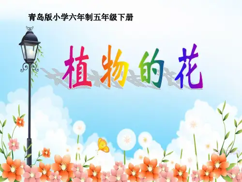 植物的花课件