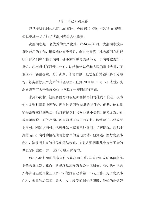 《第一书记》观后感