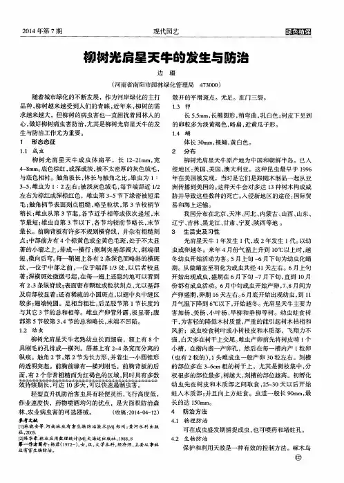 柳树光肩星天牛的发生与防治