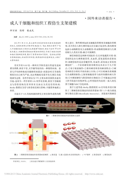 成人干细胞和组织工程仿生支架建模_钟万润