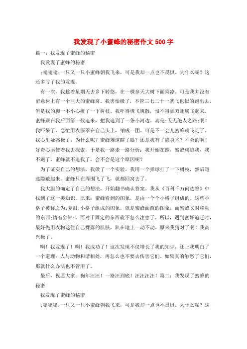 我发现了小蜜蜂的秘密作文500字