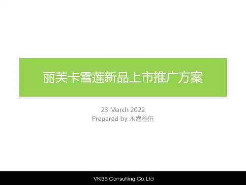 某某新品上市推广方案