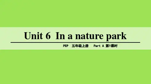 最新人教版五年级英语上册Unit6第六单元整单元课件(整单元-共122页)