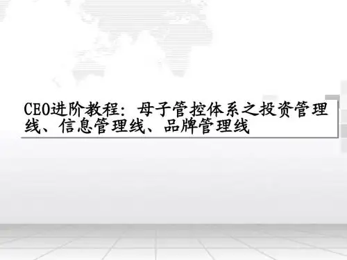 CEO进阶教程：母子管控体系之投资管理线、信息管理线、品牌管理线