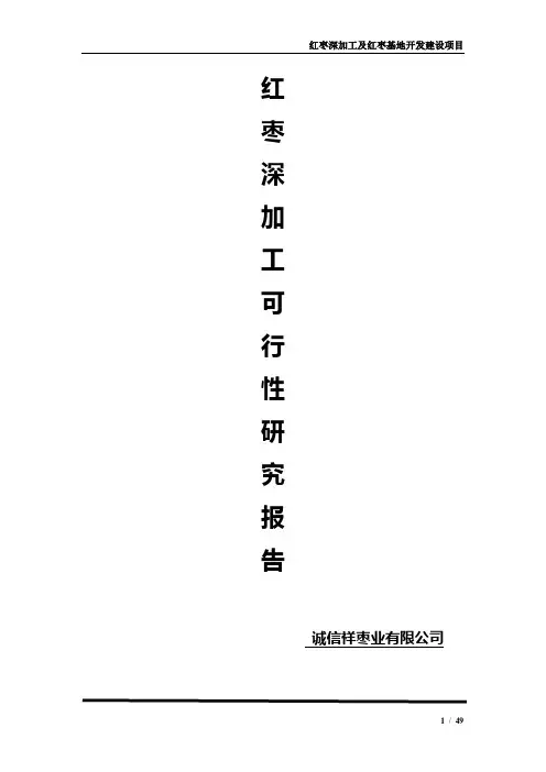 红枣深加工可行性研究报告