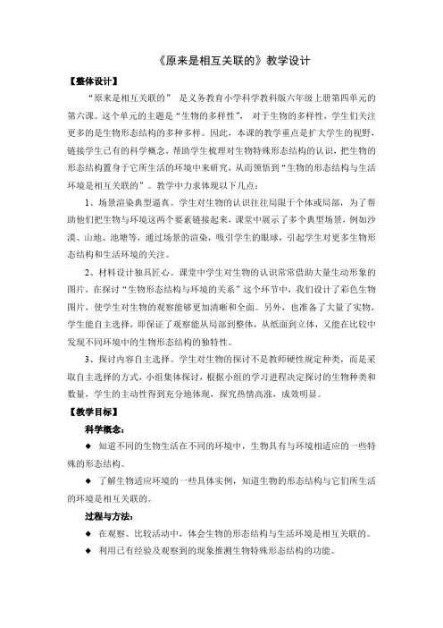 《原来是相互关联的》教学设计