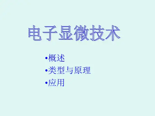 扫描电子显微镜详细学习