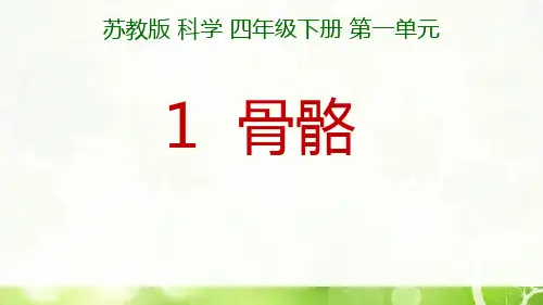 苏教版 科学 四年级下册  骨骼