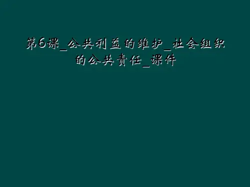 第6课_公共利益的维护_社会组织的公共责任_课件