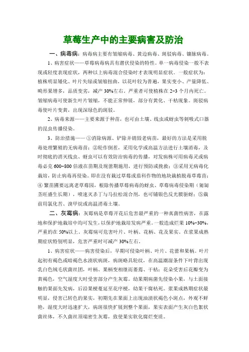 草莓生产中的主要病害及防治