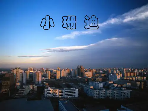 小学语文名校名师精品课件_小 珊 迪(完美版)