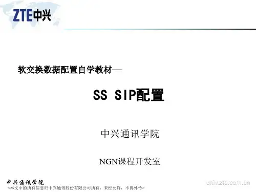SIP数据配置