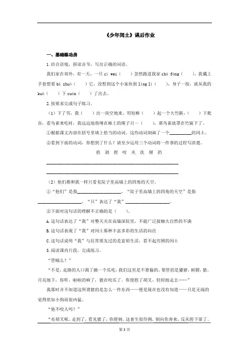 部编版六年级语文上册《少年闰土》同步练习