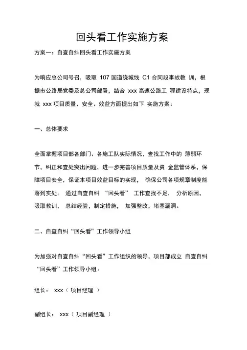回头看工作实施方案