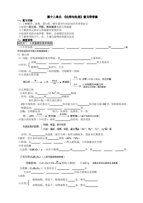 九年级化学第一轮复习第十二单元导学案