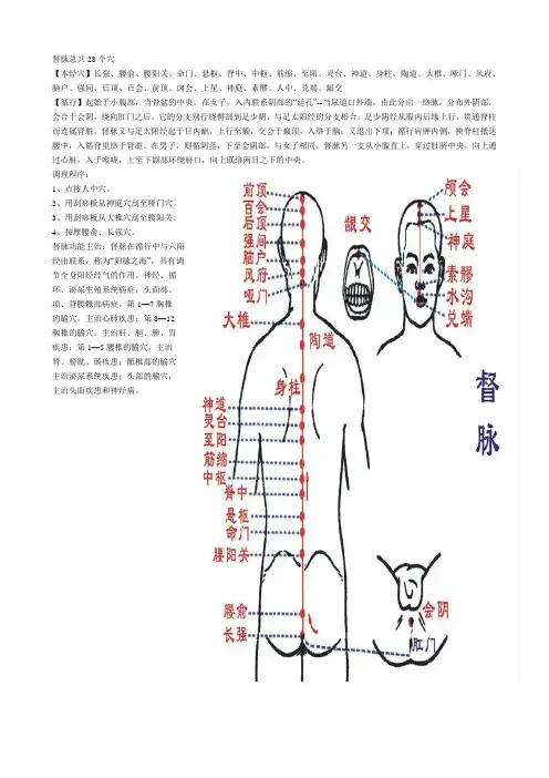 13-督脉