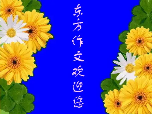 我和书的故事课件(完美版)