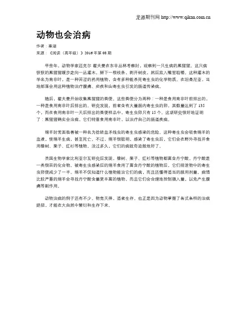 动物也会治病