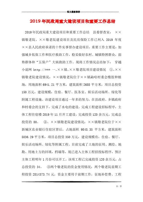 2019年民政局重大建设项目和重要工作总结