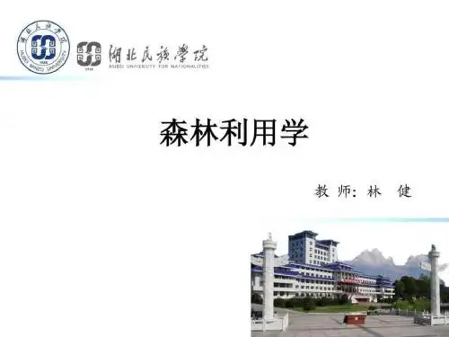 森林利用学-木材宏观构造