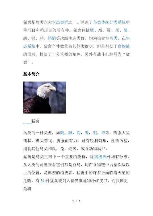 猛禽是鸟类六大生态类群之一