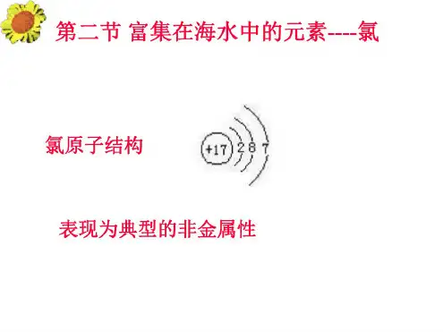 高一化学氯水