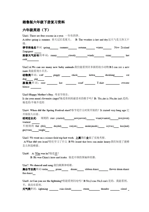 湘鲁版六年级下册复习资料-赵雨亮