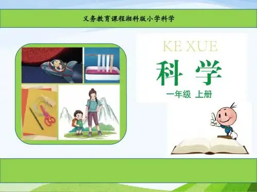 湘教版一年级上册科学1.4《让我们发现更多》课件