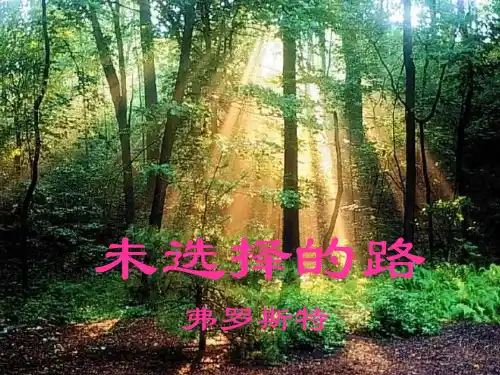 《未选择的路》