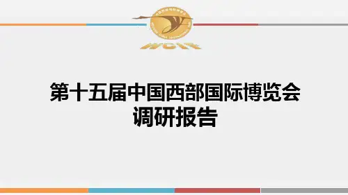 西博会调研报告