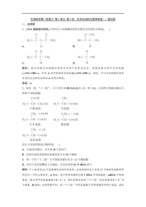 生物高考第一轮复习 第一单元 第3讲 生命活动的主要承担者——蛋白质 Word版含解析